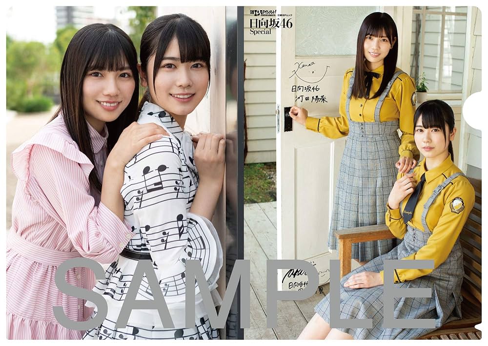 日向坂46 Special 日経エンタテインメント! 日向坂46 Special (日経BPムック